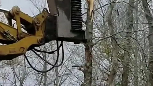园林粉碎机伐树的时候,简直极度舒适,我有种如释重负的感觉