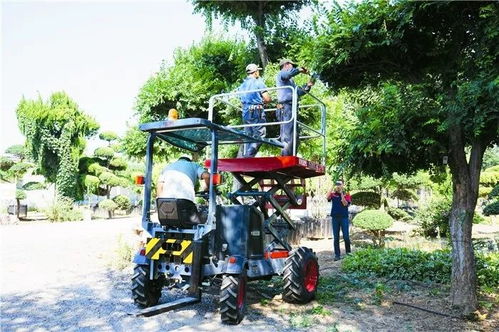 园林机械在绿化养护中的应用