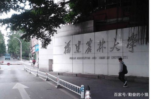 填报志愿 这22所 普通一本 大学值得报 优势专业好就业