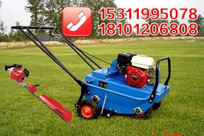 北京园林机械选购指南 割草机与割灌机的应用与推荐